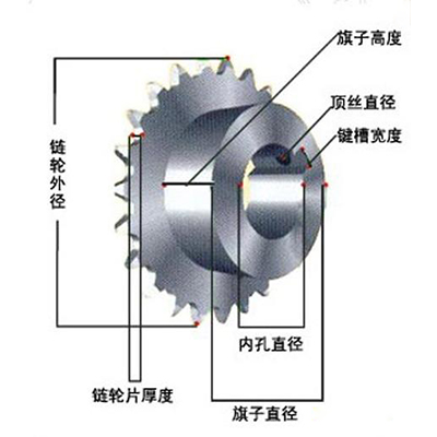 链轮构造图